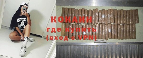 хмурый Гусев