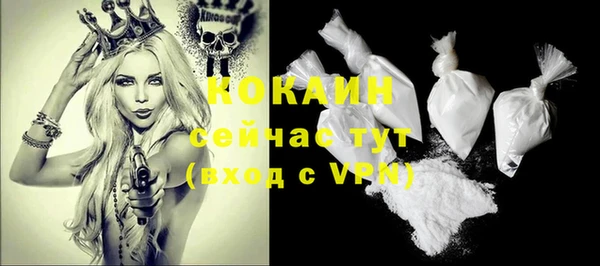 хмурый Гусев