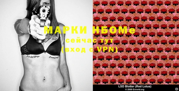 мяу мяу кристалл Гусь-Хрустальный