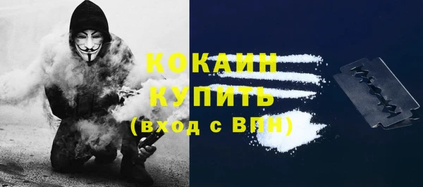 мяу мяу кристалл Гусь-Хрустальный