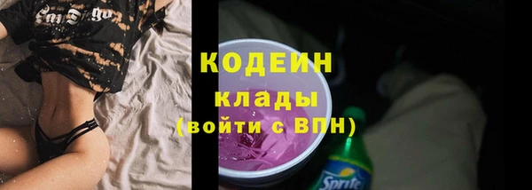мяу мяу кристалл Гусь-Хрустальный