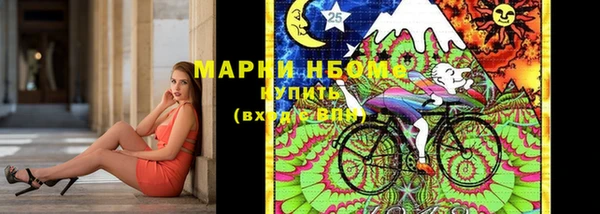 хмурый Гусев