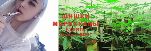 хмурый Гусев